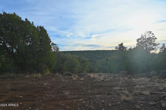 51844 N Cordero Rd Unit 3383, Seligman, AZ 86337
