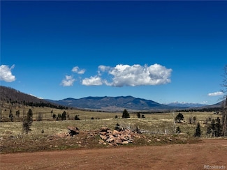lot 1005 Foy Place, Fort Garland, CO 81133
