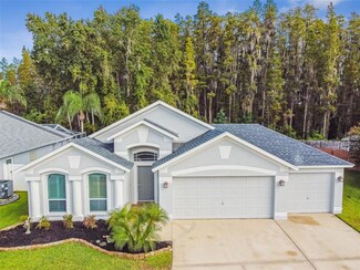30359 Glenham Ct, Wesley Chapel, FL 33543