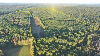 6504 Alabama 10, Clopton, AL 36317