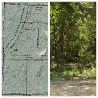 3.04 Lot 17 Cedar Ridge Estates Ph II, Paradise, AR 72450