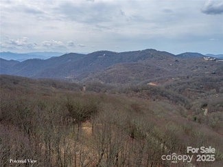 0 Grouse Thicket Ln Unit Lot 262, Mars Hill, NC 28754