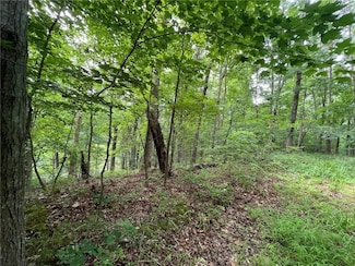 Lot 614 S Sundew Dr, Westminster, SC 29693