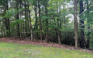 Lot 40 Double Knobs Dr, Hayesville, NC 28904