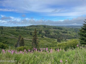 65840 Haven Ave, Anchor Point, AK 99556