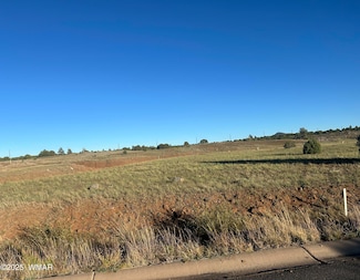 1081 S Ridgeway Place, Show Low, AZ 85901