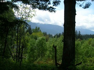 7382 E Loop Rd, Stevenson, WA 98648
