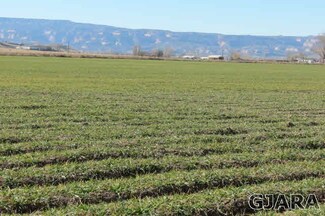 1575 17 Rd, Loma, CO 81524