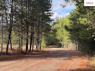 171 (Temp) Bear Rd, Priest River, ID 83856