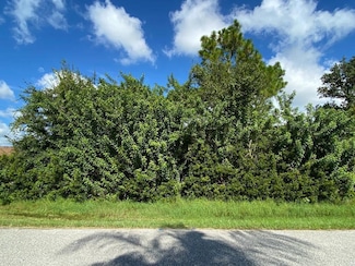 7066 Bargello St, Englewood, FL 34224