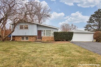 4214 Prairie Ave, McHenry, IL 60050