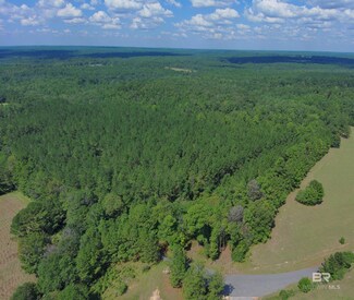 22200 Gap Weekly Rd, Perdido, AL 36562