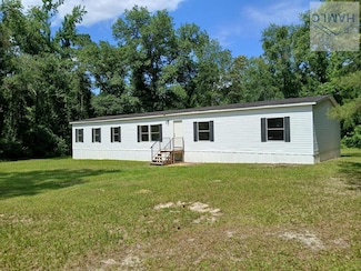 304 Mt Pleasant Rd, Claxton, GA 30417