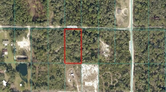 TBD SW 156 Place, Dunnellon, FL 34432