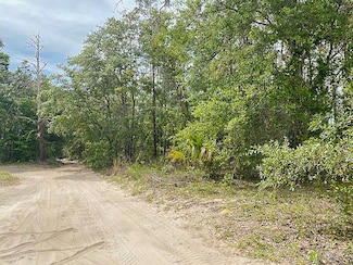 0 NE 67th St Unit 794959, Bronson, FL 32621
