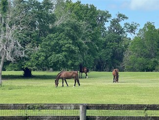 TBD W Highway 329, Reddick, FL 32686