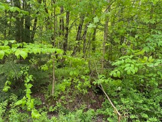 74B Wimble Rd, Fairfax, VT 05494