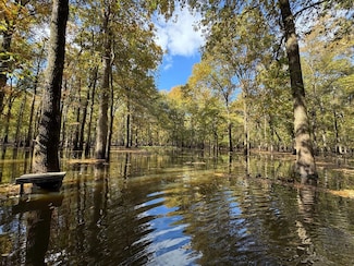 00 Highway 70, Biscoe, AR 72017