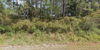 0 W Pine St, Ocean Springs, MS 39564