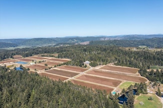 54983 Morrison Rd, Bandon, OR 97411