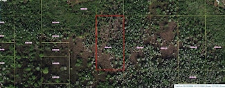 0 Holopaw Groves Rd Unit MFRO6248481, Saint Cloud, FL 34773