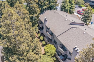 1138 Walpert St, Hayward, CA 94541