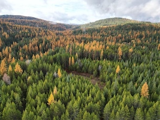 TBD Schlegel Ranch Lot 11 Rd, Ione, WA 99139