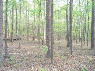 177 Sandpiper Point, Counce, TN 38326