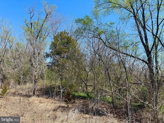 111 Railroad Ave, Greenwood, DE 19950
