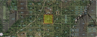 0 Holopaw Groves Rd Unit MFRO6241746, Saint Cloud, FL 34773