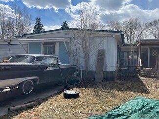 155 Bridwell Ave, Gypsum, CO 81637