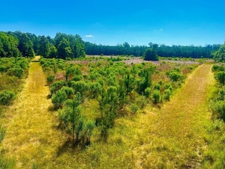 Tbd Lewis Ln, Gloster, MS 39638