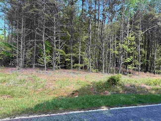 3 Pleasant Hill Rd, Landrum, SC 29356