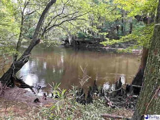 75 acres N Old Georgetown Rd, Coward, SC 29530