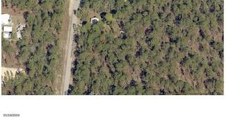 TBD SW Buena Vista Rd, Dunnellon, FL 34431