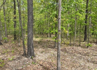 32 Bec Ln, Bella Vista, AR 72714
