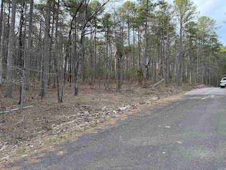 22 Alvero Way, Hot Springs Village, AR 71909
