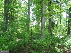 125 Main Sail Ct, Greenbackville, VA 23356