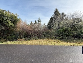 148 N Narwhal Loop NW, Ocean Shores, WA 98569