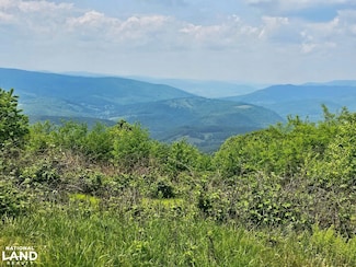1891 Jack Mountain Rd, Monterey, VA 24465