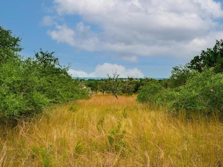 19.84 acres off Rr 12 & Mirela Anne, Dripping Springs, TX 78620