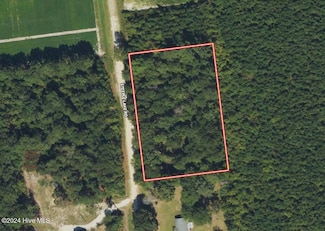 0 Steeple Lake Rd, La Grange, NC 28551