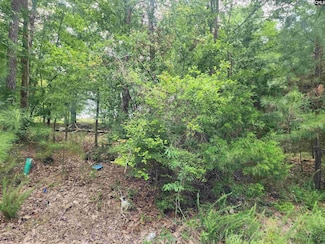 0 Forest Ridge Dr Unit 589224, Newberry, SC 29108