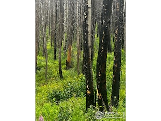 0 Old Ballard Logging Rd Unit 1012570, Bellvue, CO 80512