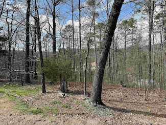 255 Gilmer Ln, Whittington Township, AR 71901