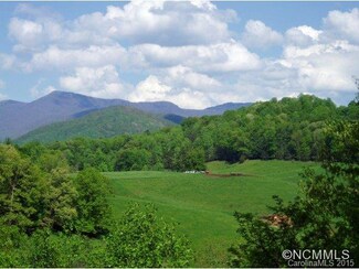 10 Horseshoe Trail Unit 10, Barnardsville, NC 28709