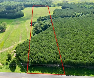 0 U S 231, Brundidge, AL 36010