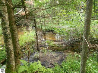 0 East Dr Unit 1788955, Fife Lake, MI 49633
