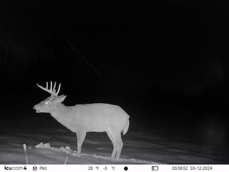 390 S Arent Rd, Watervliet, MI 49098