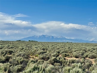39.22 acres Colorado 159, Sanford, CO 81151